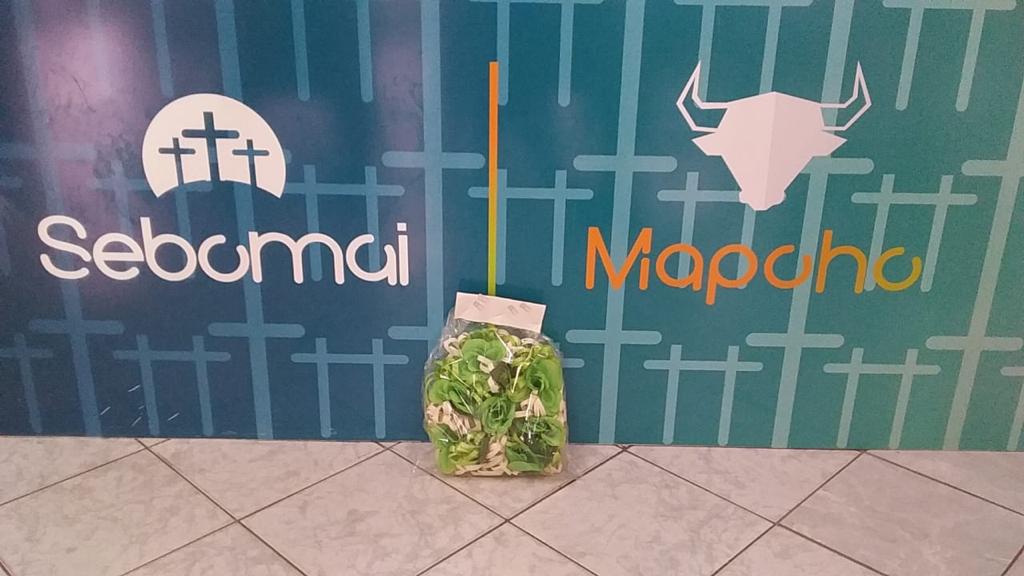 WhatsApp Image 2022-05-13 at 3.44.18 PM (1)