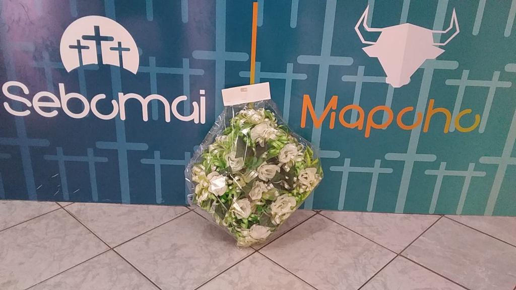 WhatsApp Image 2022-05-13 at 3.44.19 PM (1)