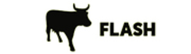 Flasj